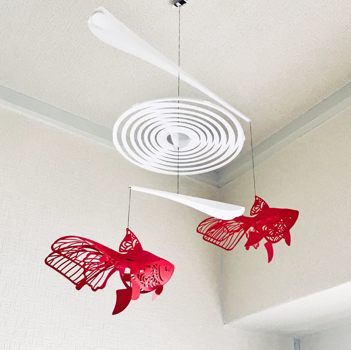 暮らしを美しむ小道具の店 環 tweet media