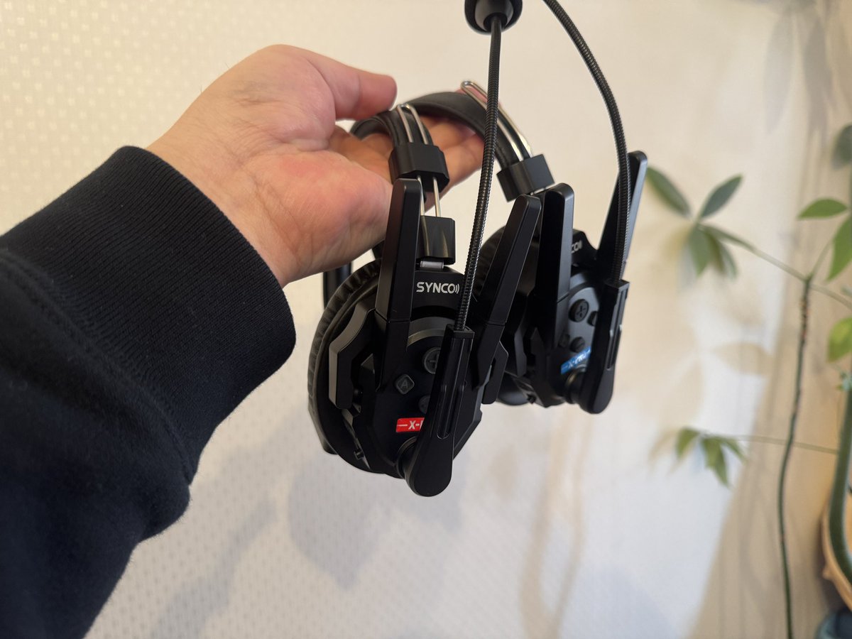 MicchiVlog/ミッチーブログ tweet media