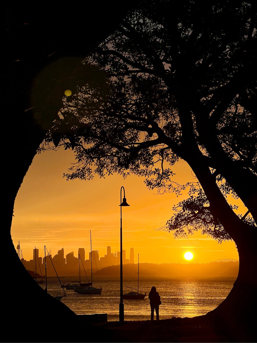 Kym fisher tweet media