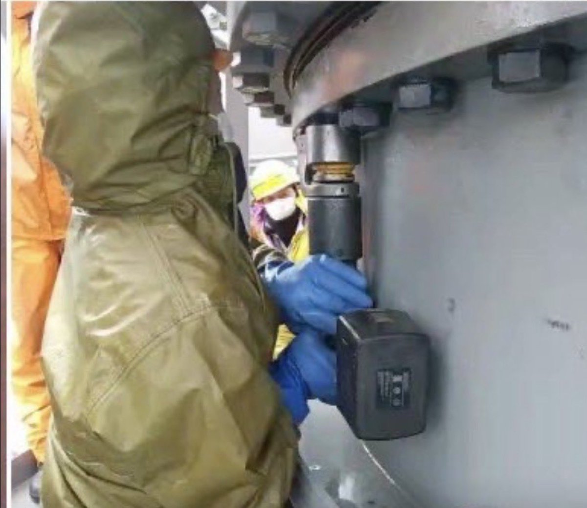 梅干しくん tweet media