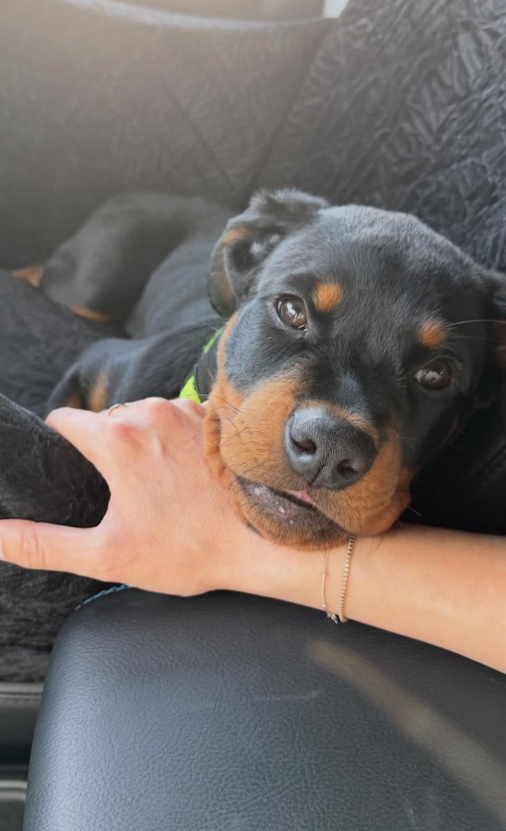 Elizabeth 🪻 tweet media