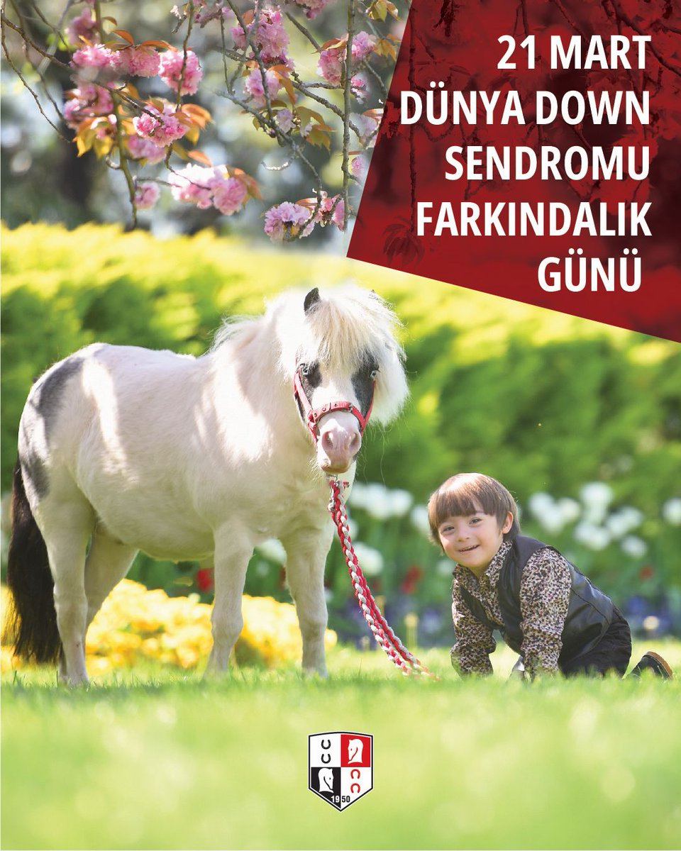 Türkiye Jokey Kulübü tweet media