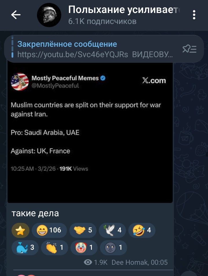Робби (твиттерская пользовательница )🇦🇱 tweet media