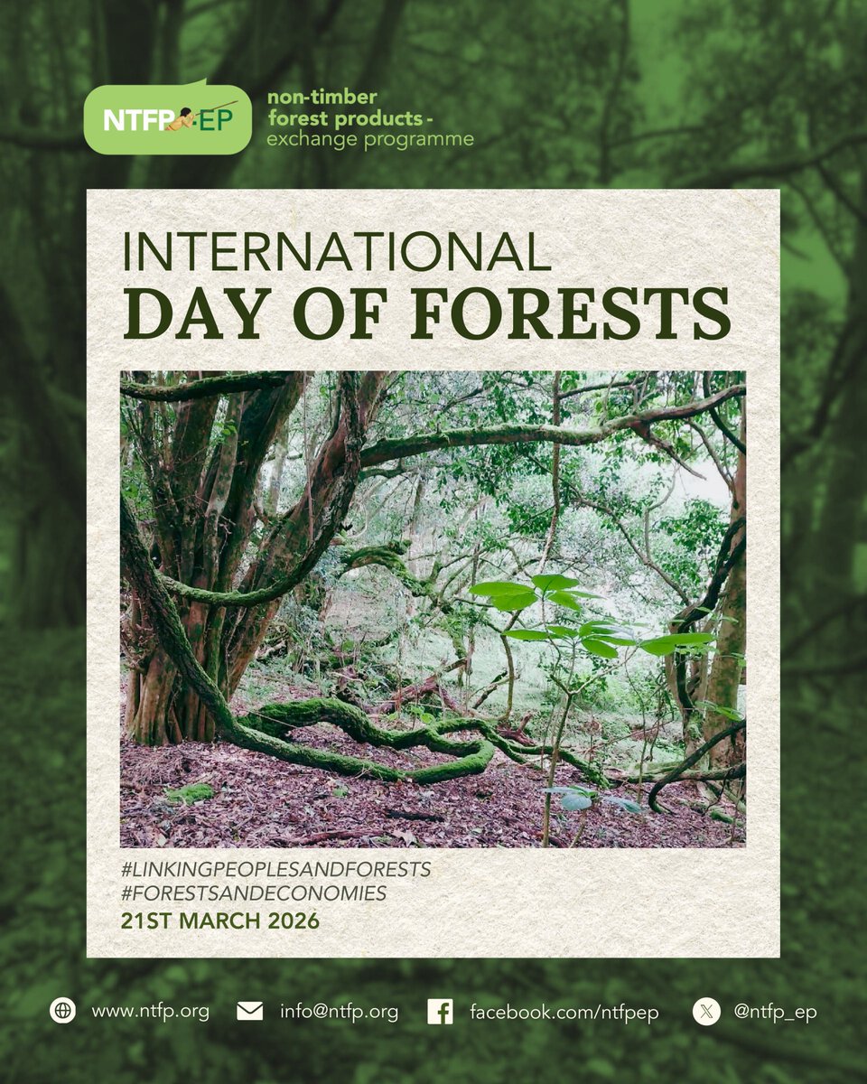 NTFP-EP Asia tweet media