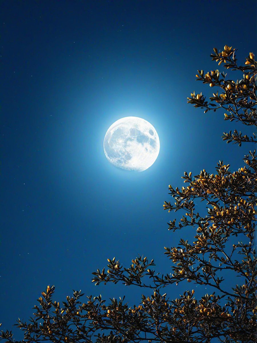 Jenna Cha B tweet media