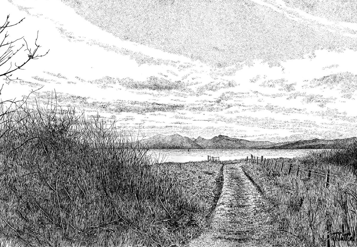 Jack Sutton Draws tweet media