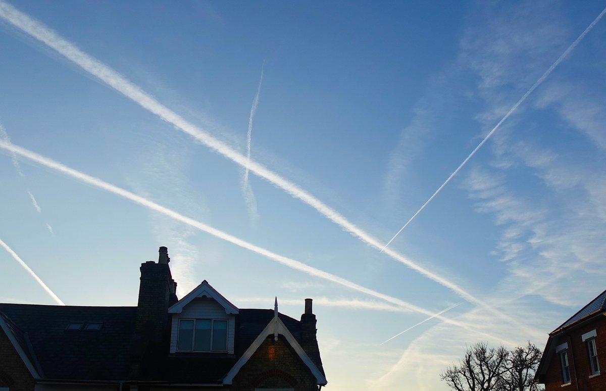 Alex Klaushofer tweet media