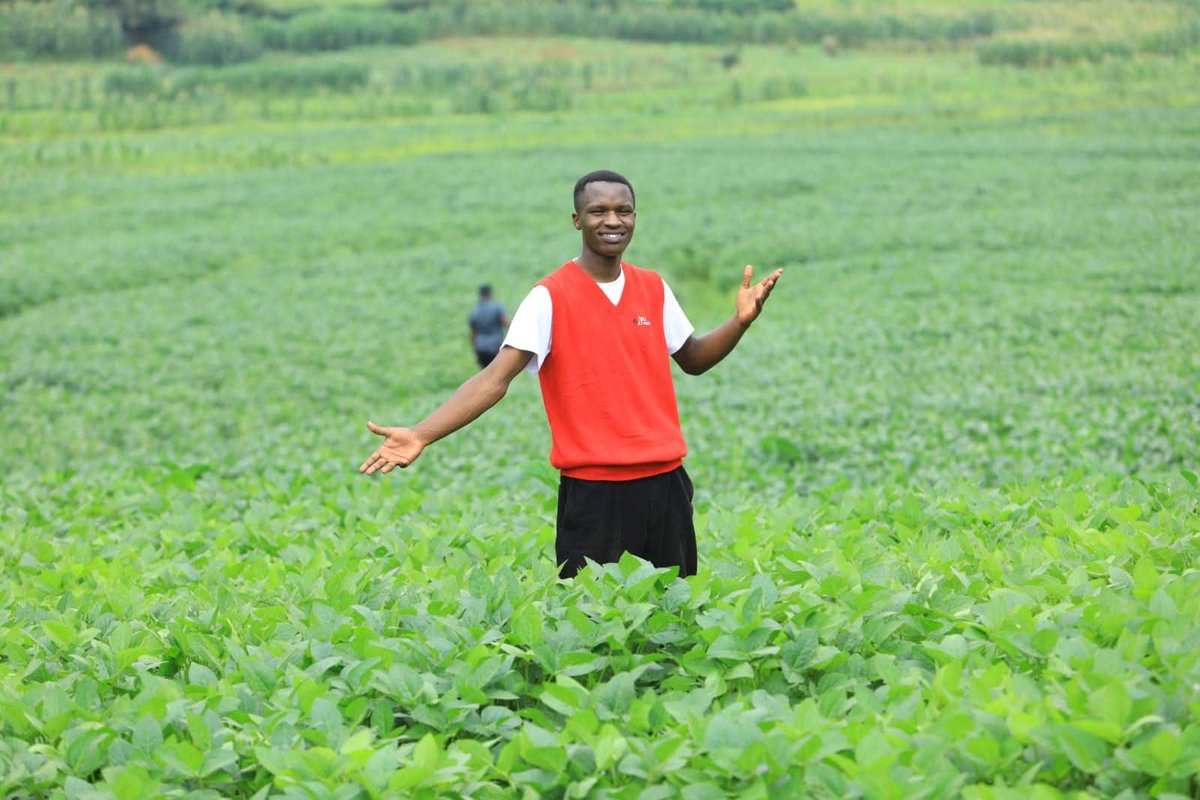 Sibobugingo Joël tweet media