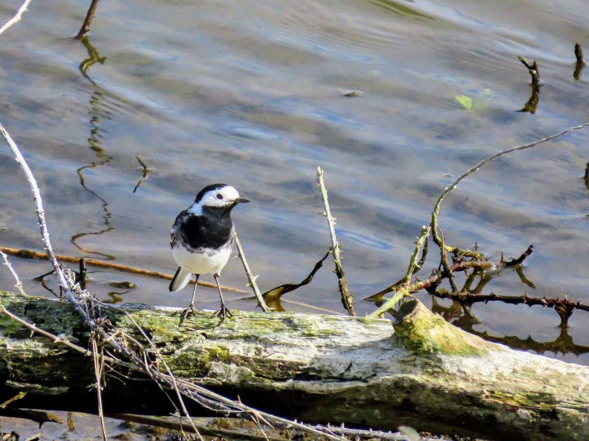 Martin Gathercole🐦X🐦 tweet media