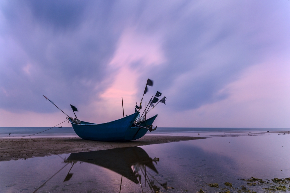 Carmen Beerman tweet media