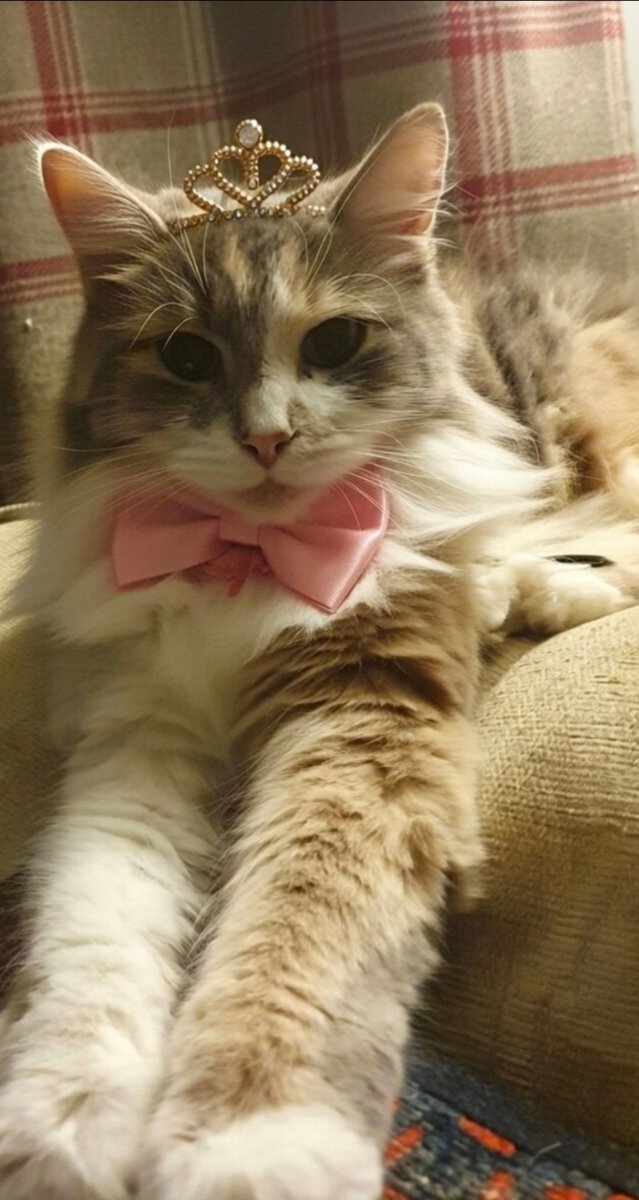 Fi 🌱🌼🌱 tweet media