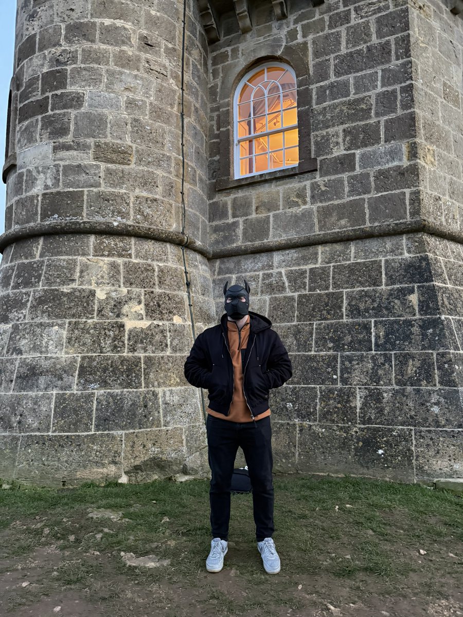 Pup_Comet tweet media