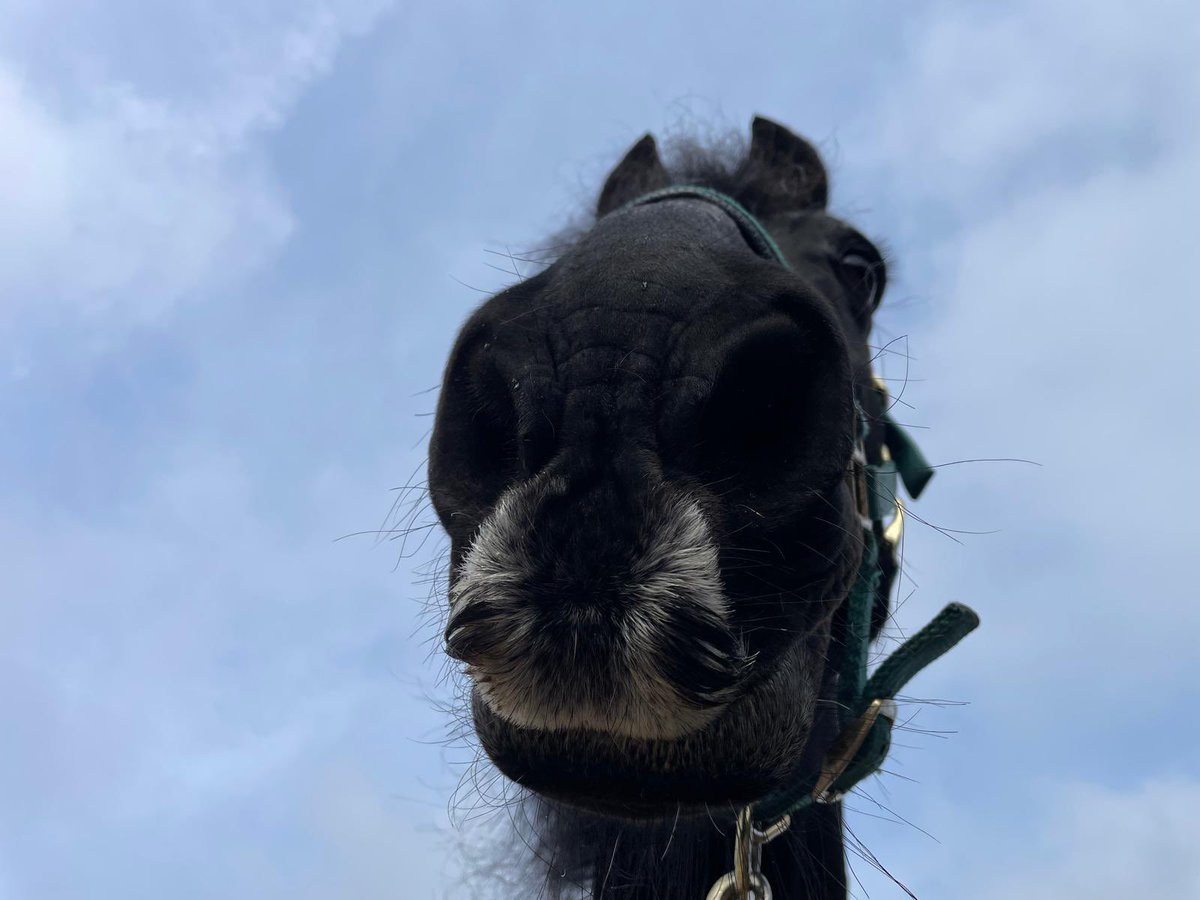 Gareth Williams. tweet media