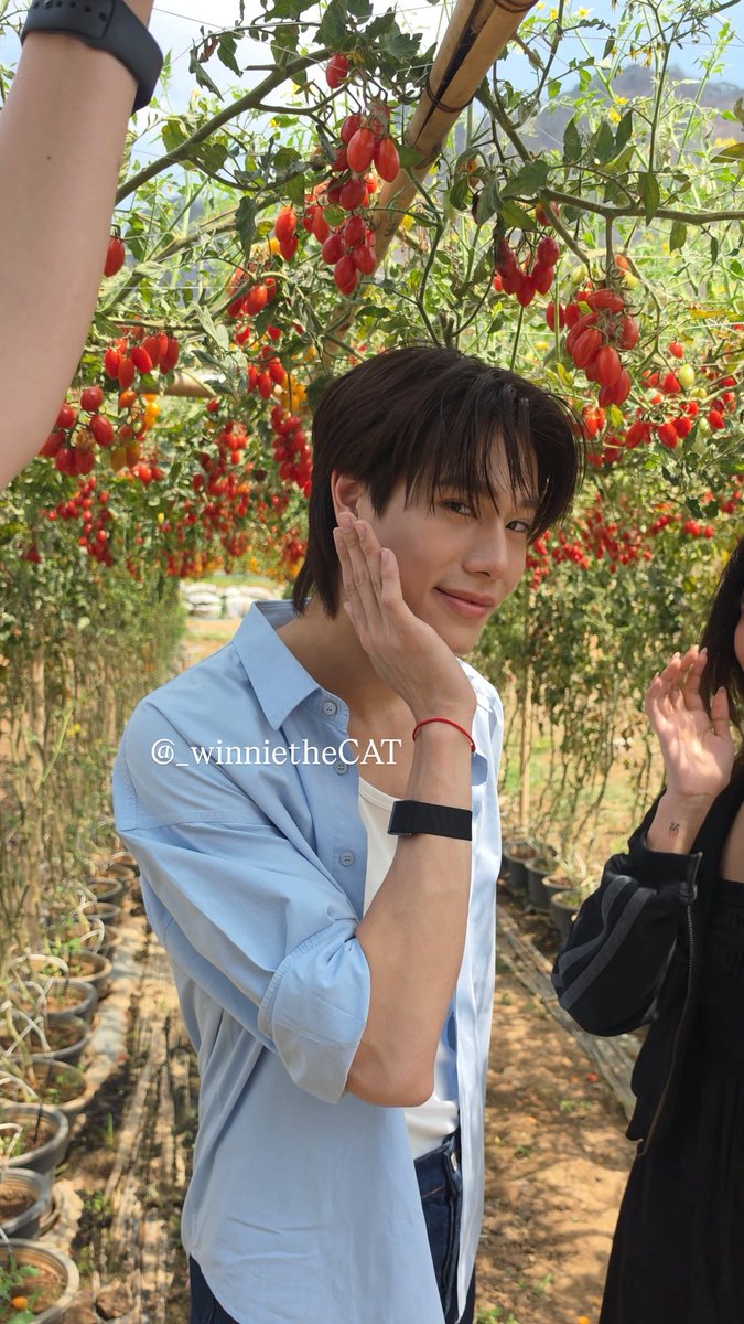 He is The(e) CAT tweet media