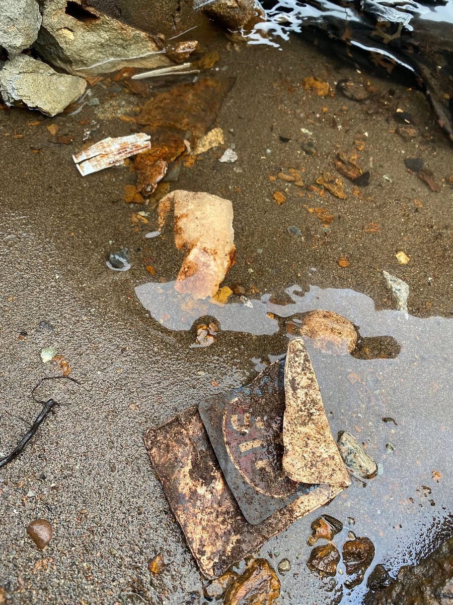 Fraser River Finds 🐟 tweet media