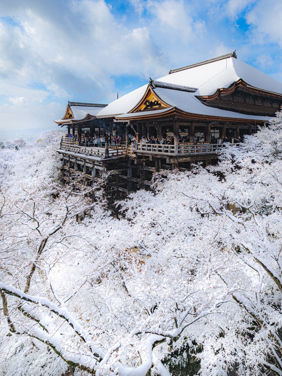 Wander Aesthetic tweet media