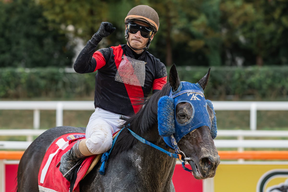 khorseracing's tweet photo. 도쿄다이쇼텐(G1) 우승마 딕테이언(Diktaean)이 우승한 코리아컵(Korea Cup)이 국제 G2로 승격되었습니다.
코리아컵은 최근 3개년 1~4위마 우승 레이팅이 평균 113.5를 기록함으로써 승격 기준을 충족했습니다.
반면, 코리아 스프린트(Korea Sprint)는 3개년 평균 109.1로, 국제 G2 승격 기준에 미달되어 G3로 유지됩니다.