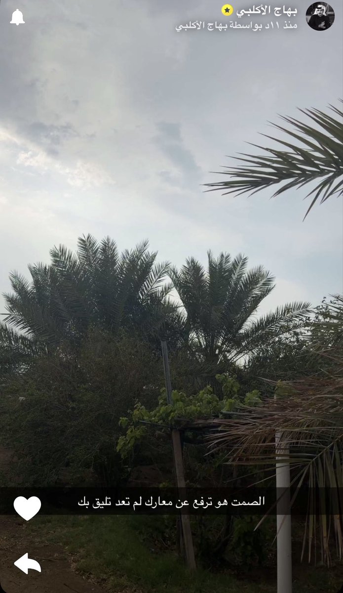 ألـِف tweet media