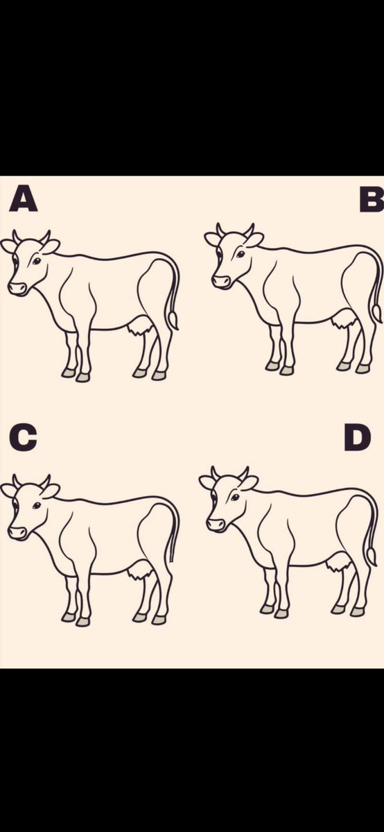 King Tunde Ednut tweet media