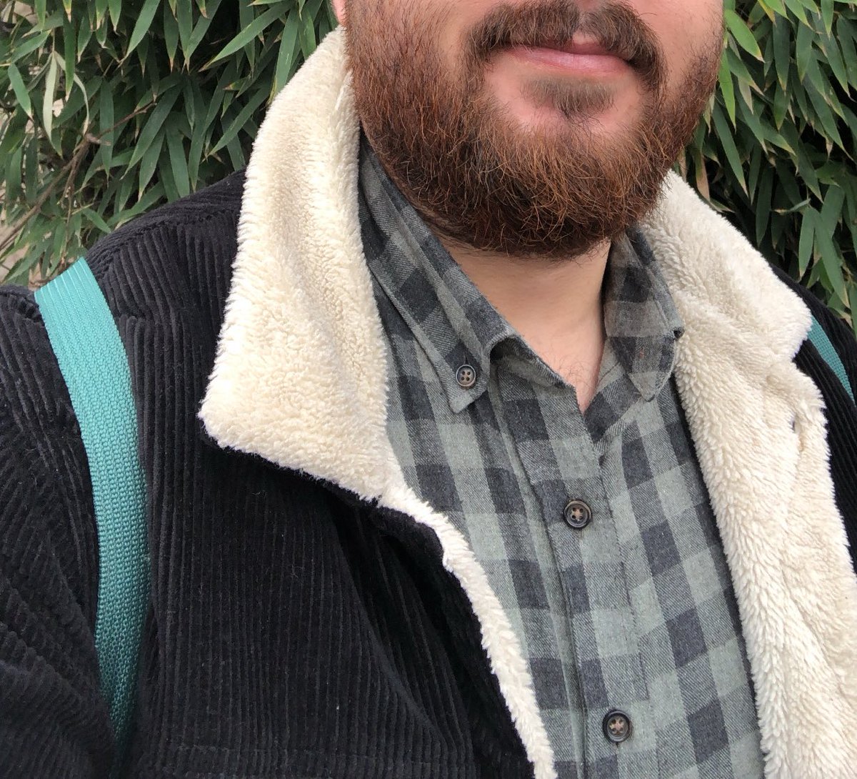 beardbearson tweet media