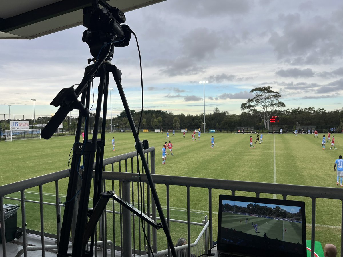 Teo Pellizzeri tweet media