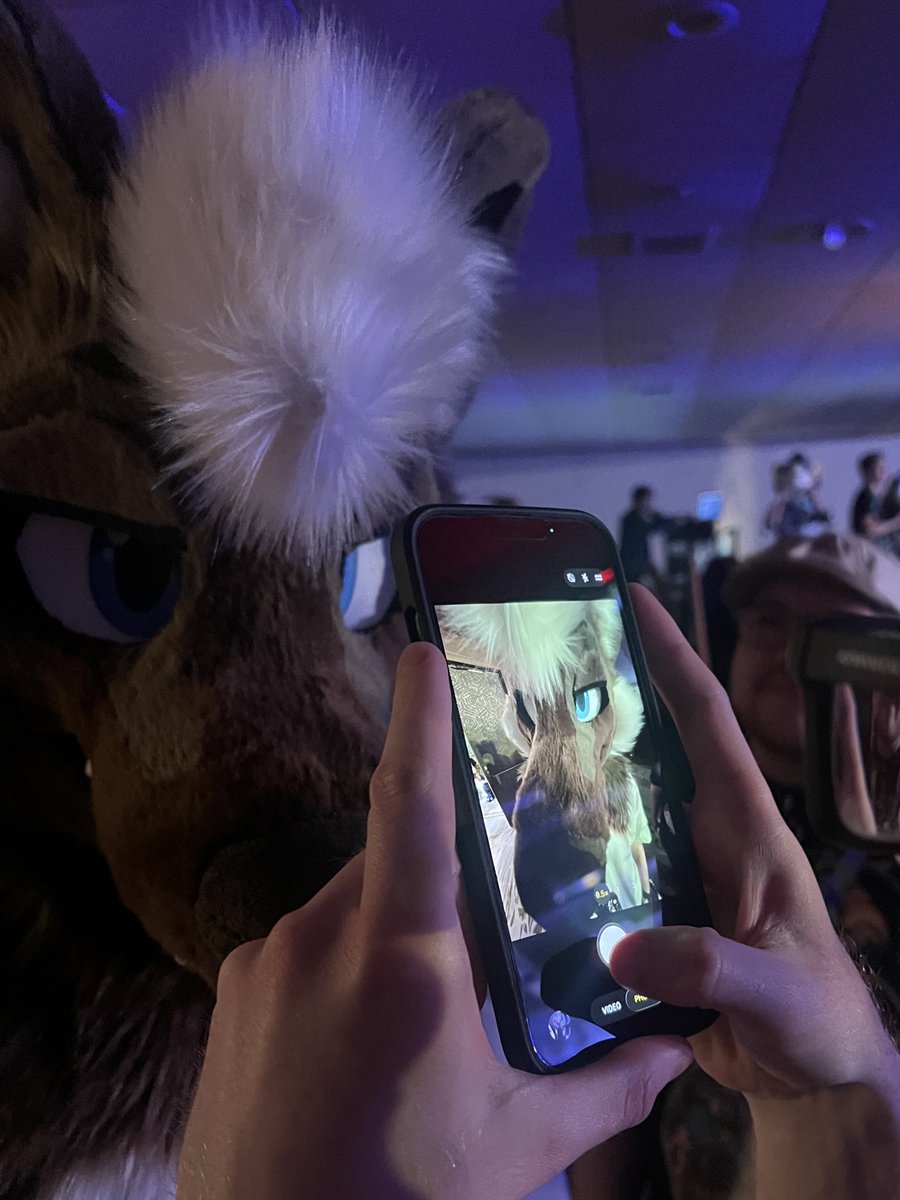 fauxx | djbas tweet media