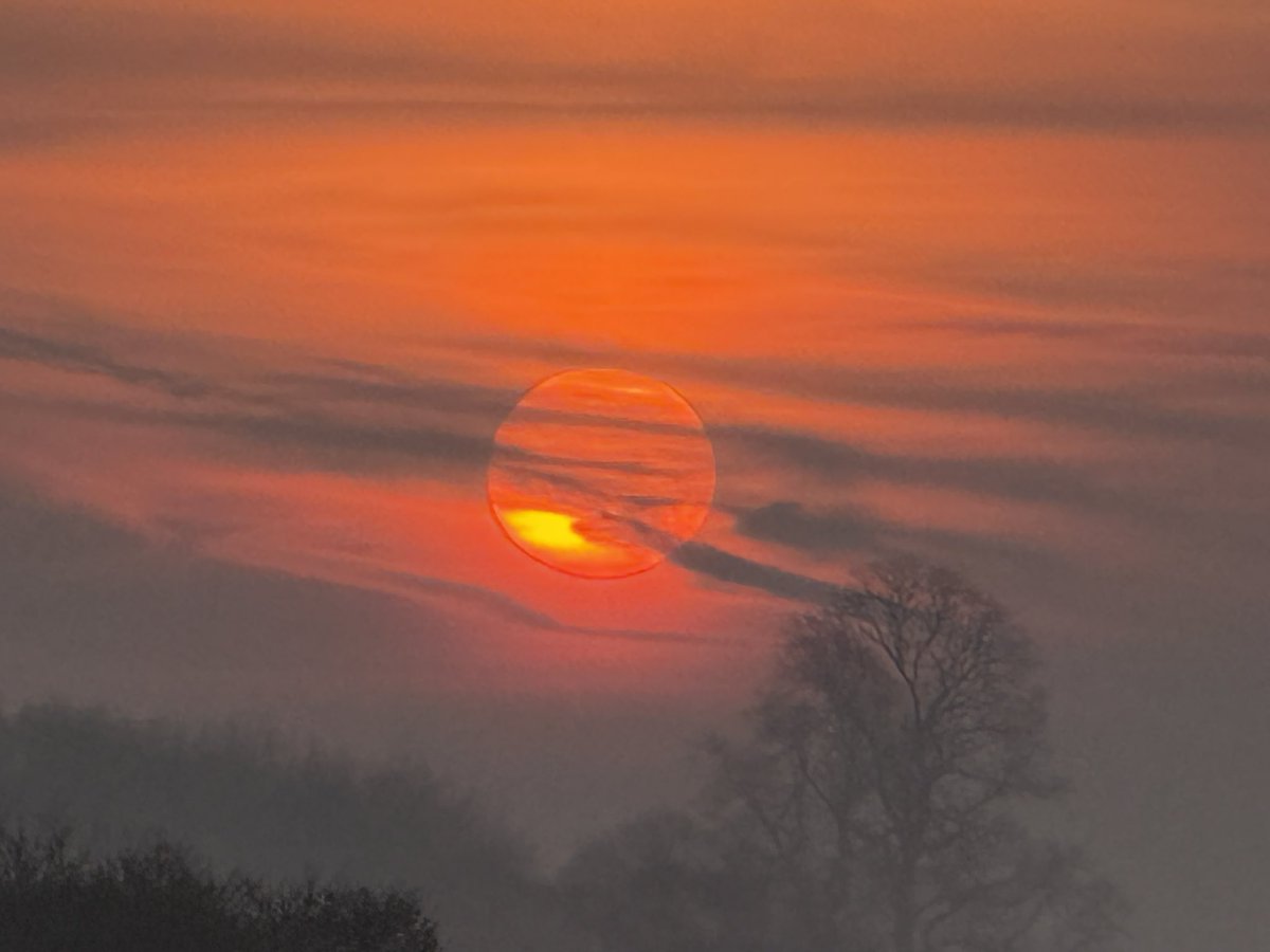 MarburyBirds tweet media