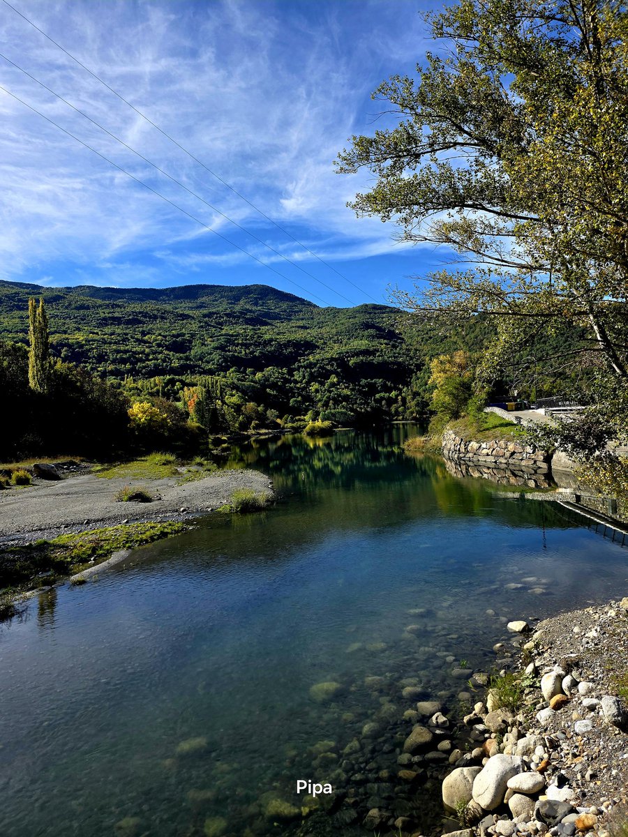 Pipapipia tweet media