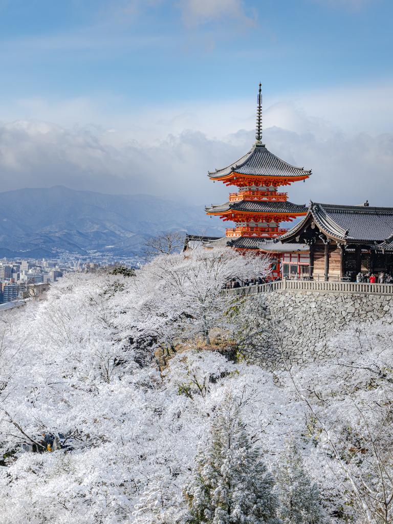 Wander Aesthetic tweet media