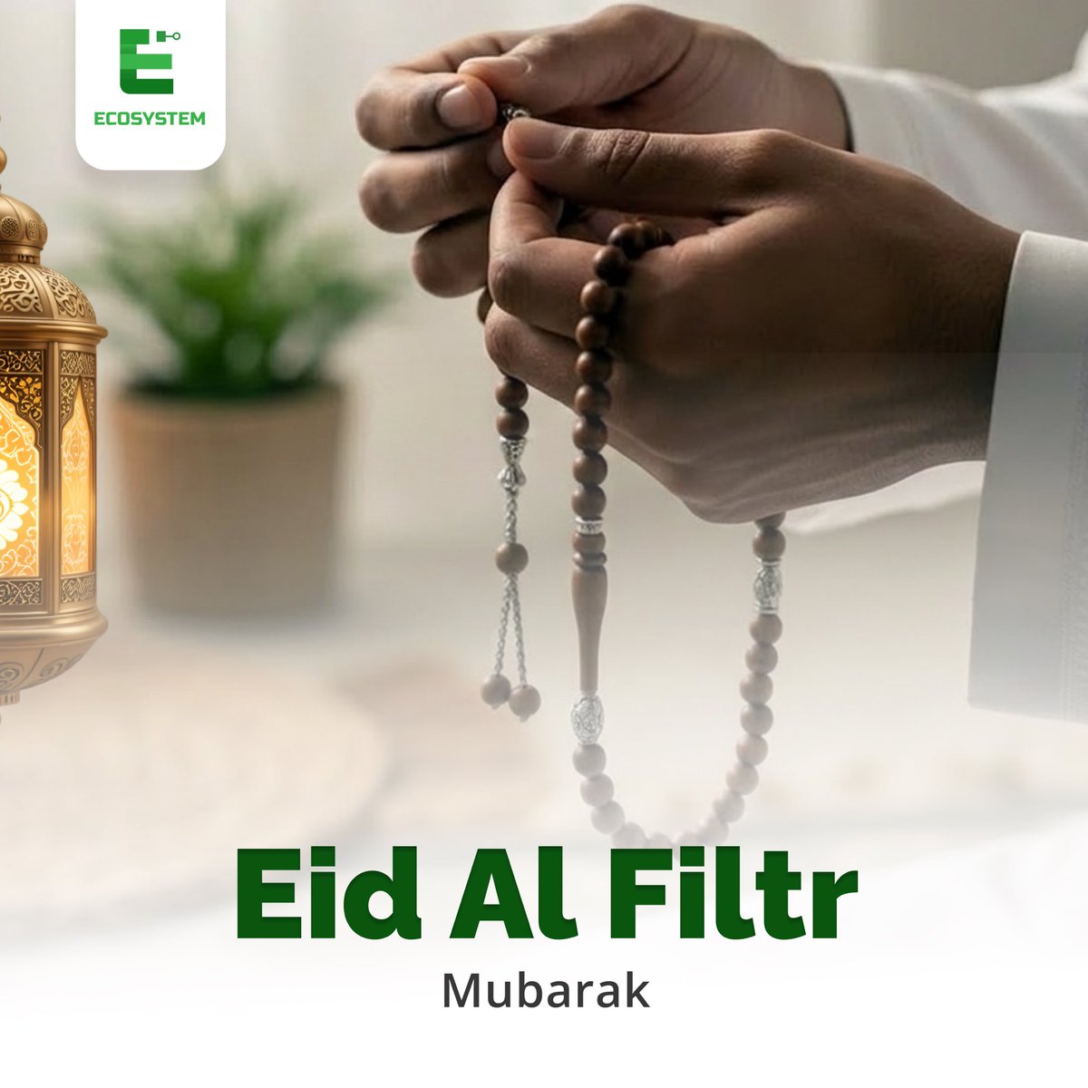 EcoSystemSN tweet media