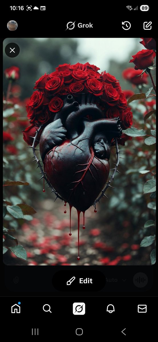 Loco Lion 🦁✒ tweet media