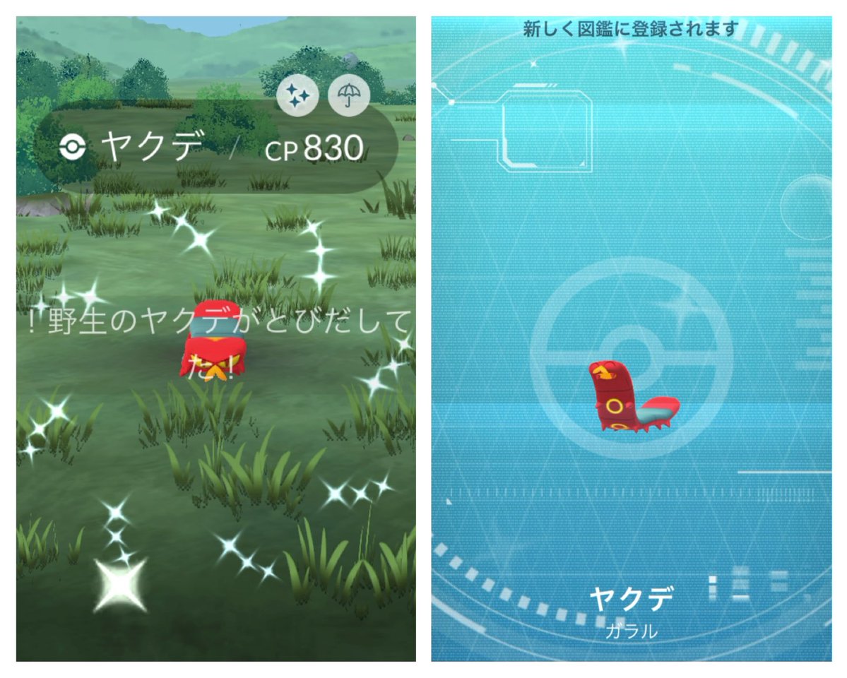 みやこみや🍖 tweet media