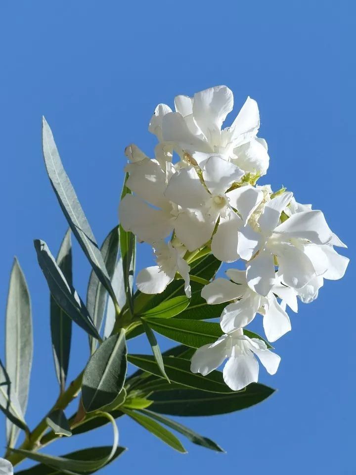 Buongiorno e buon sabato!