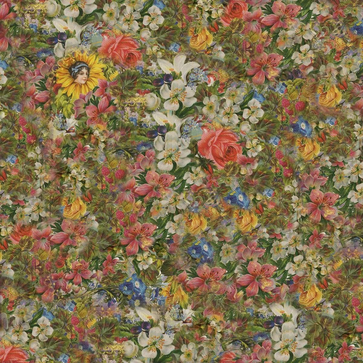 melly * ˚˖𓍢ִ໋🦢˚ | zbergasm tweet media