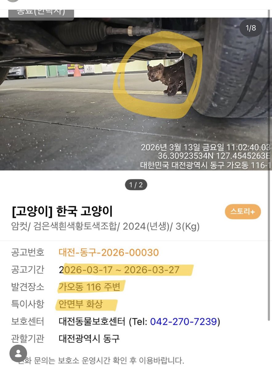 째앙금 tweet media