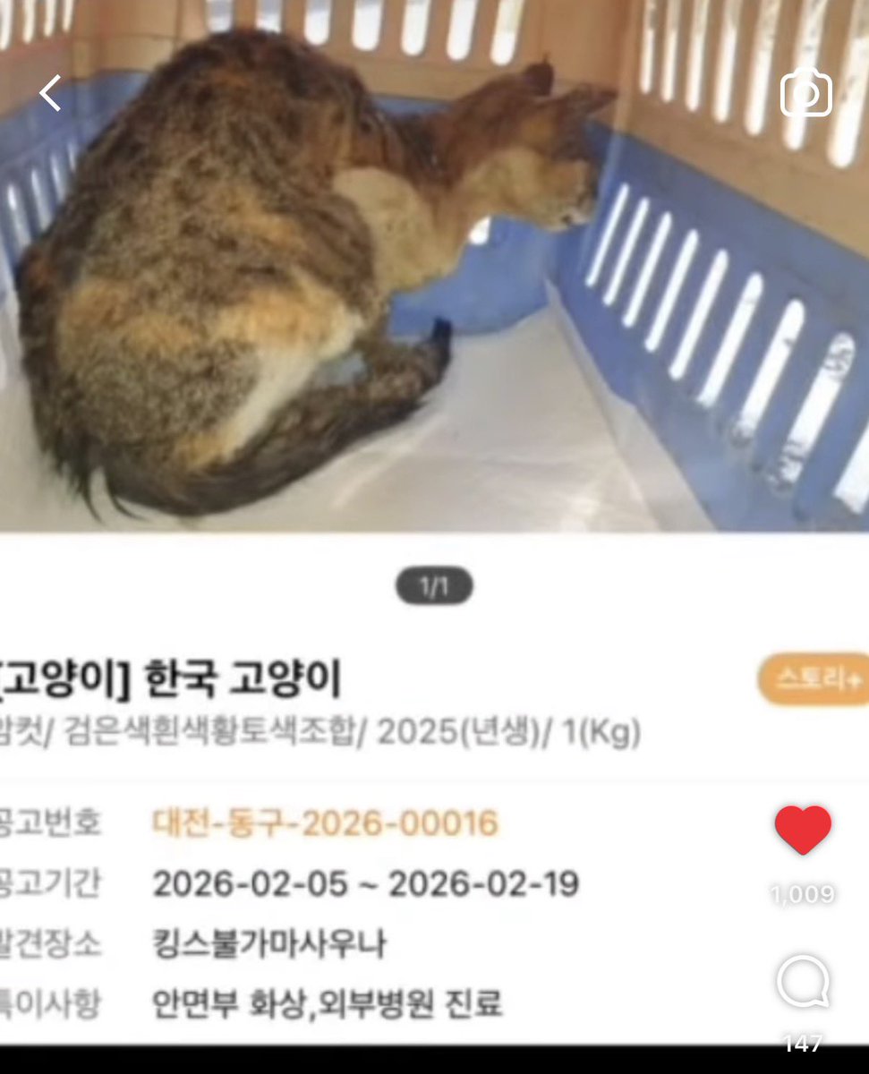 째앙금 tweet media