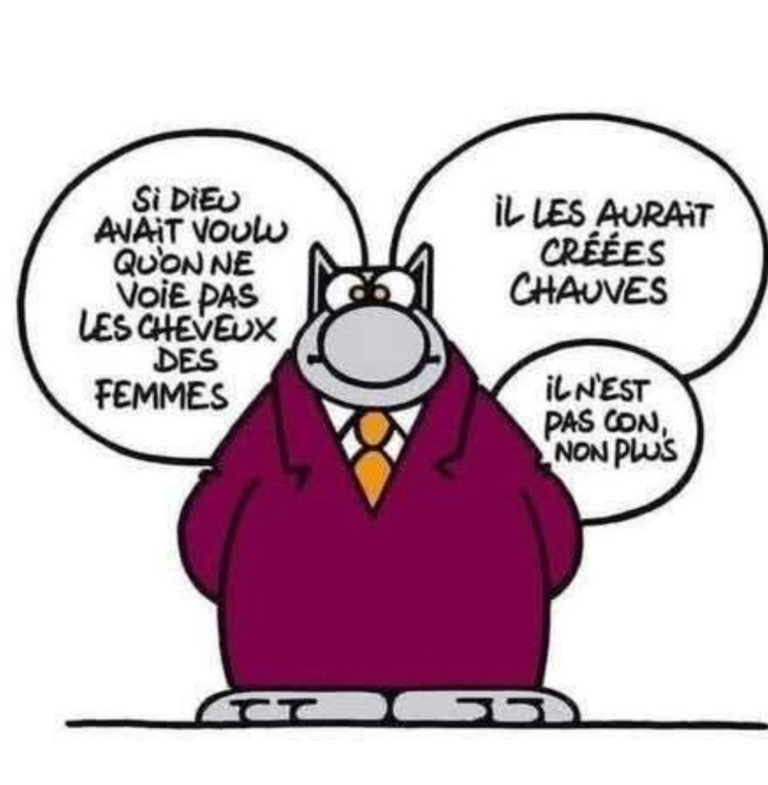 🎗loredane tweet media