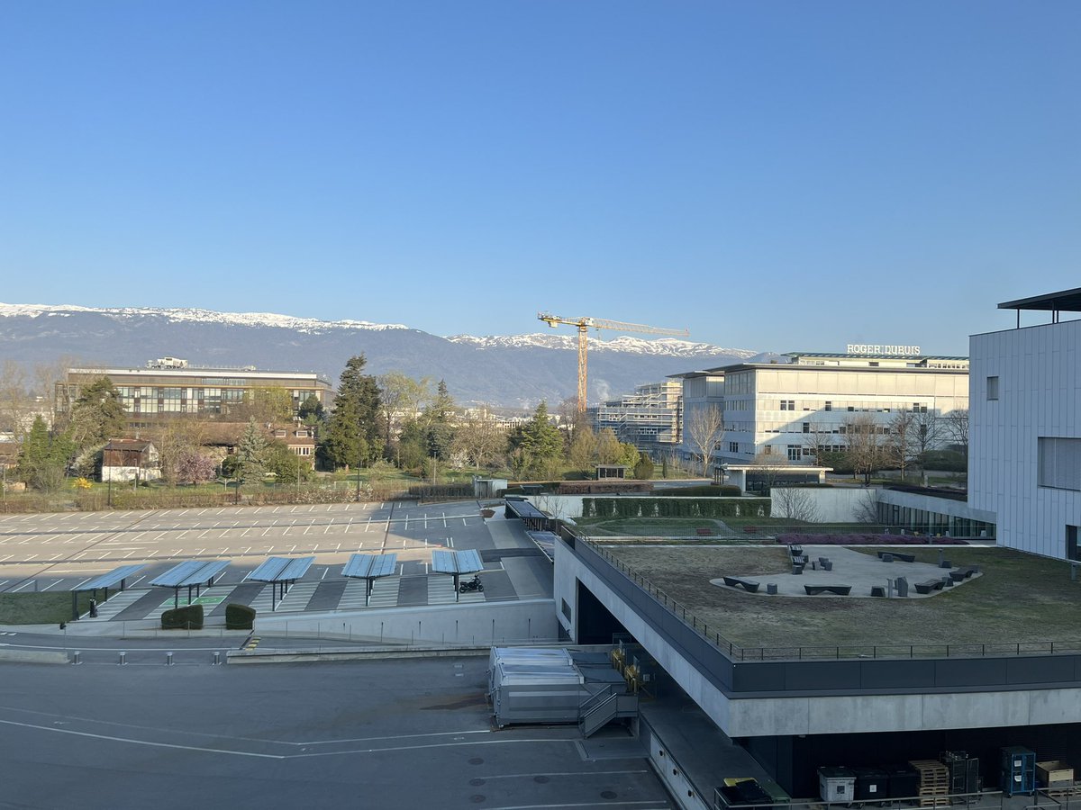 🚈 Wholesale🐟Market 🚋 tweet media