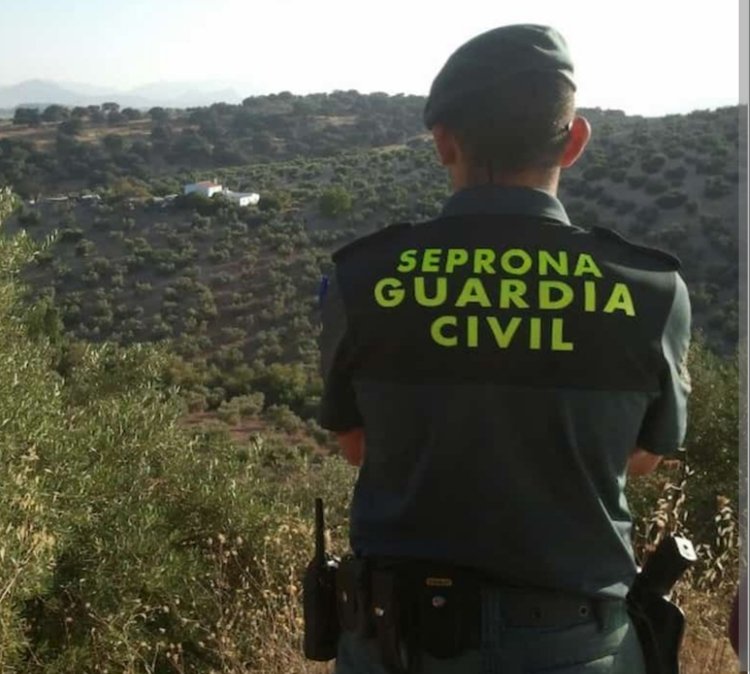 Jucil Vizcaya tweet media