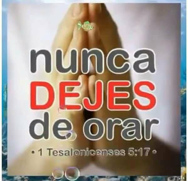 Buenos días, salud, paz y bien.
Está el día precioso. Así que, aprovechemos para llenarlo también nosotros de cosas hermosas.
Que disfrutéis de un feliz sábado.
