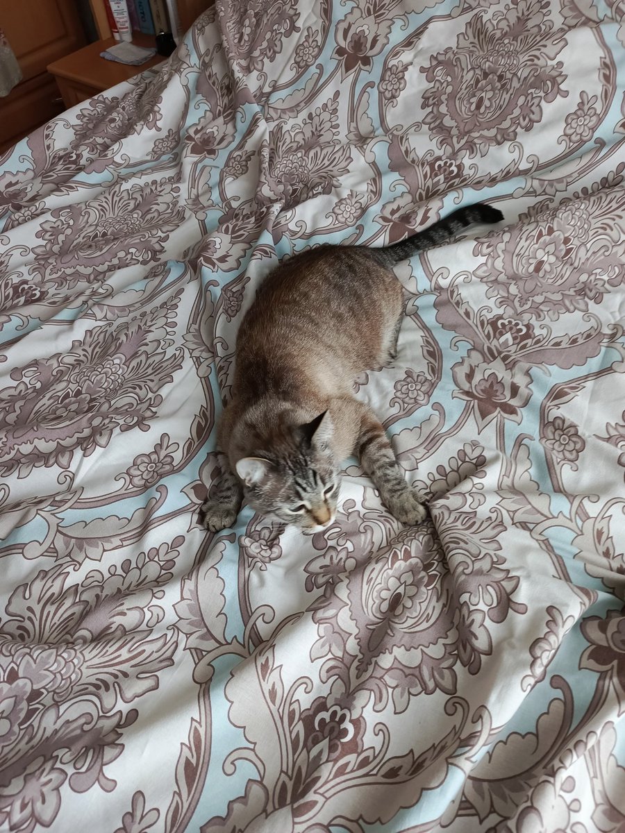 Роман ZOV Партия натуралов. tweet media