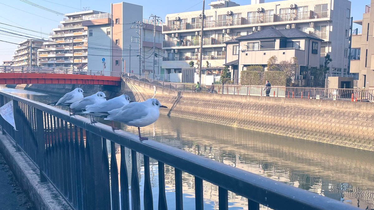 klein4252's tweet photo. https://t.co/ZV0DHozrKm