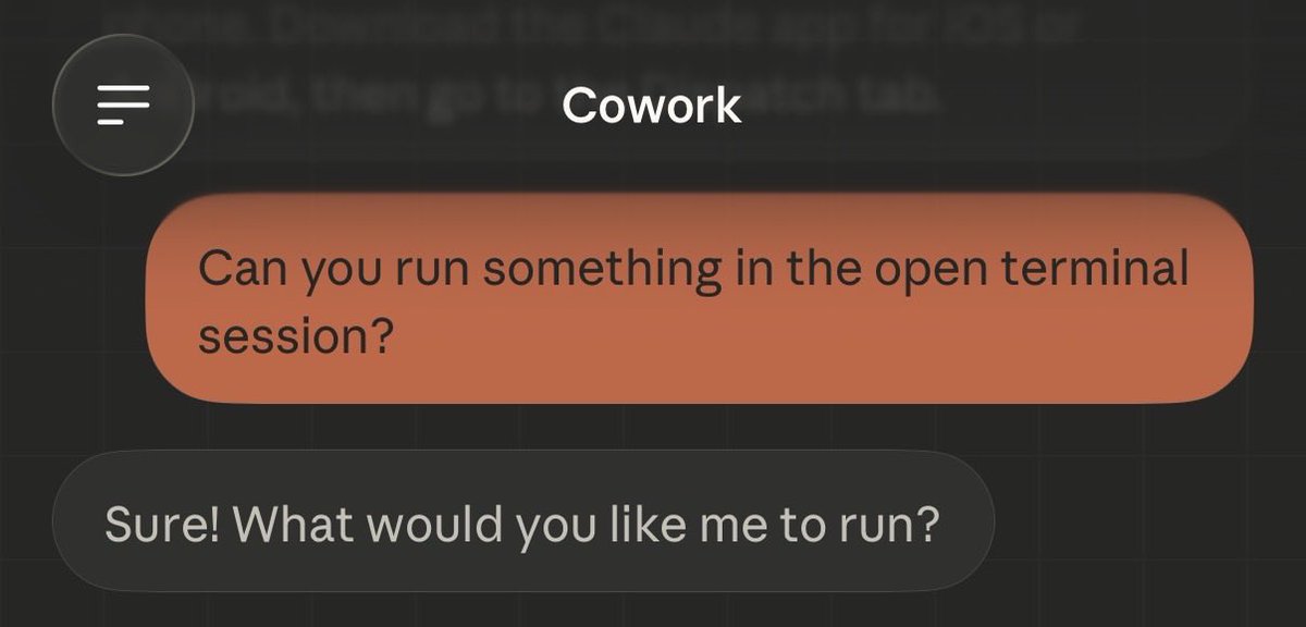 Sean Bonner🔥 tweet media