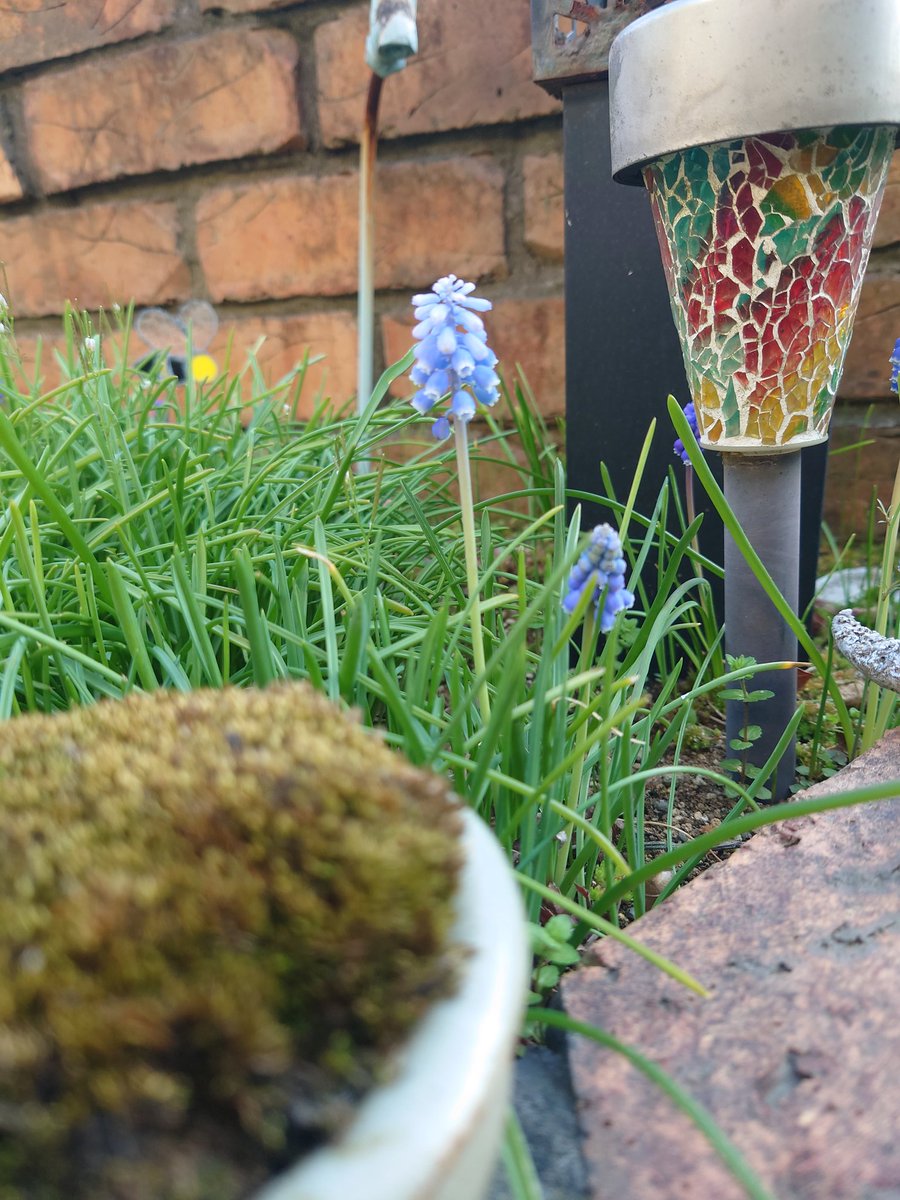 ちさと(快便ちゃん) tweet media