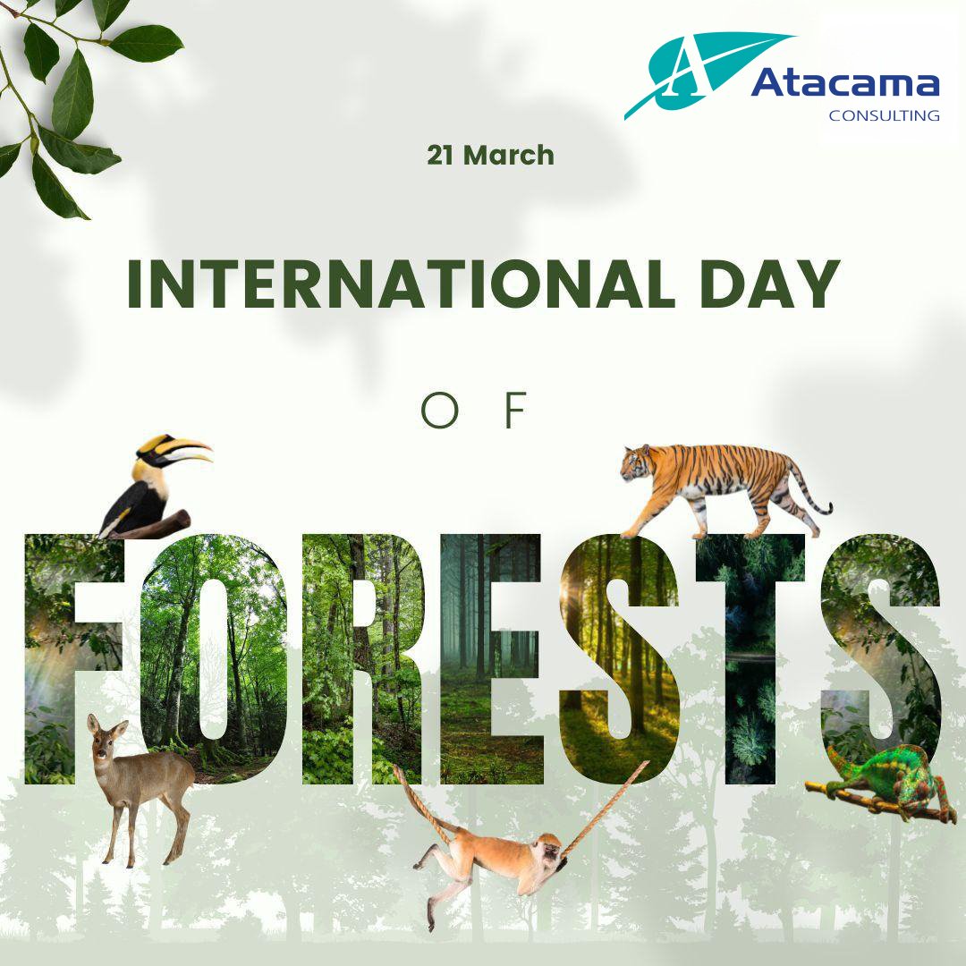 Atacama Consulting 🍃👷🏾‍♀️🦺 tweet media