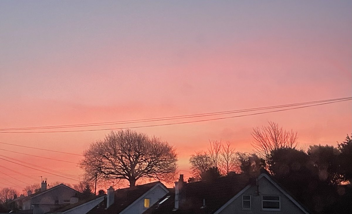 Bethan Wyn Hughes tweet media