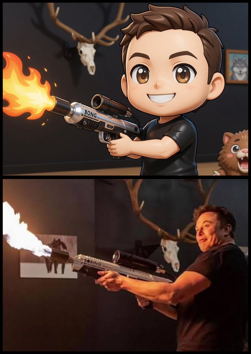 DogeDesigner tweet media