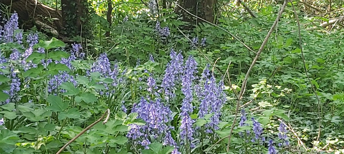 David L Barratt 🏳️🌈He/Him 🏳️⚧️Ally tweet media