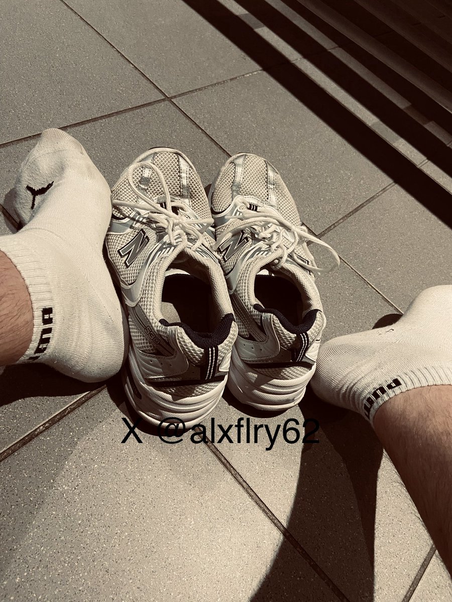 🐺 Alx 🐺 tweet media