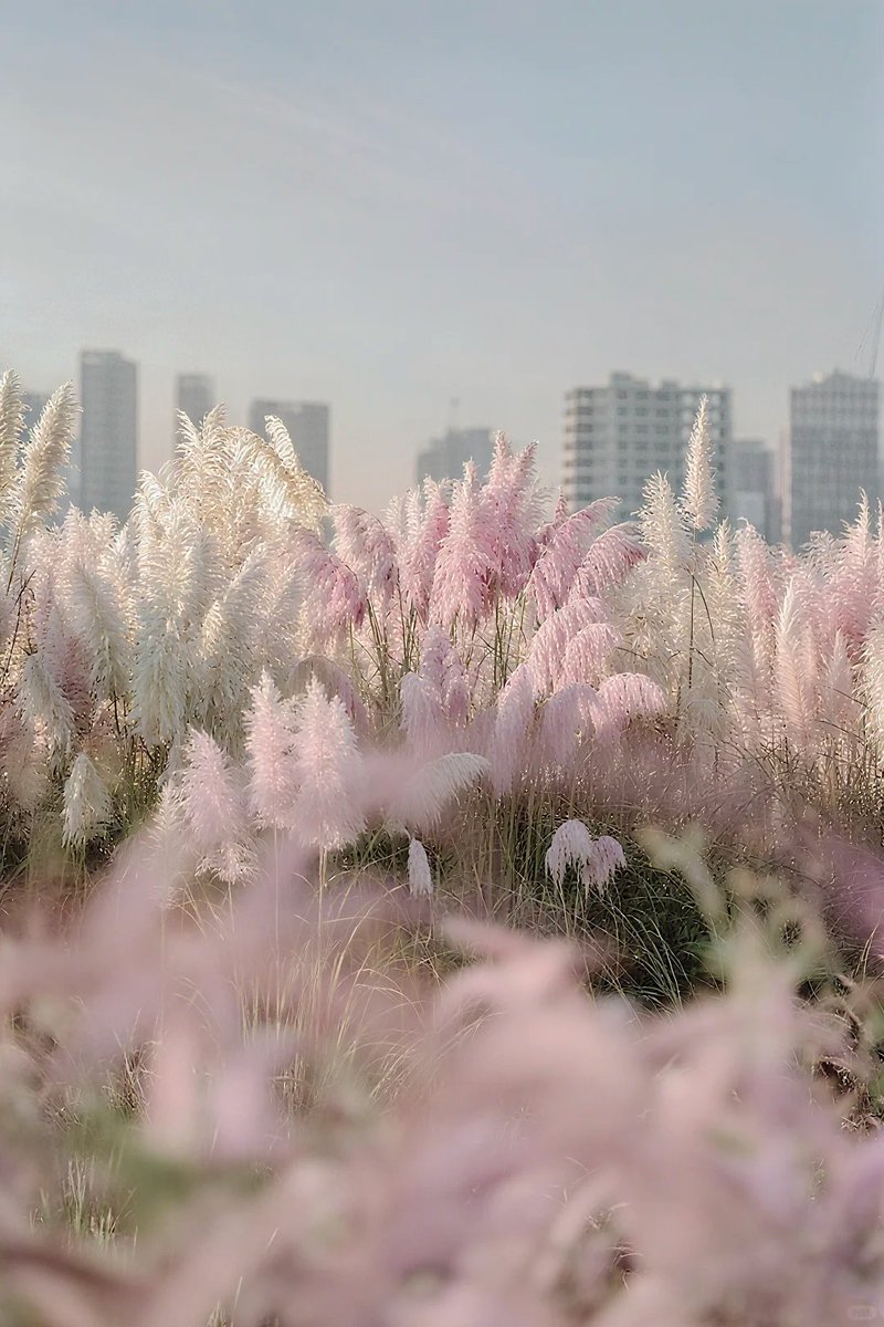 jacqueline underwood tweet media